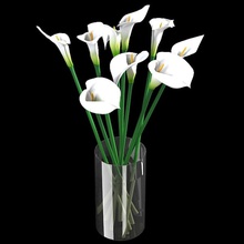 blancos lirios de cala ramo flores florero 30 accesorio calla la colección decoración flor lily planta shop3ds blanco 3d print model - Mito3D