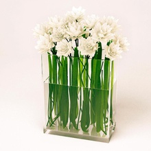 fiori bianchi vaso 3d bella ciotola garofano il design download elegante sentire divertente fiore di vetro interni max modello moderna la pianta piccola studios trasparente acqua bianco 3d print model - Mito3D