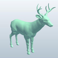 whitetaileddeer v2 whitetailed deer animals printable lowpoly 3d print model - Mito3D