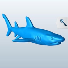 whitetip reef shark v1 fish aquatic life printable lowpoly 3d print model - Mito3D