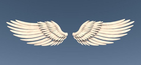 wings angel animal architecture bird cartoon character cherub elements feather fly jasenluxchambers model wing 3d print model - Mito3D