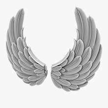 wings 3d anatomy angel animal bird decor feather fly model parts pit3dd swan vray white wing 3d print model - Mito3D
