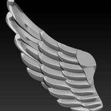 wings anatomical animal architecture bird body cover elements fantasy feather fly lucky hunter 2008 model realistic wing 3d print model - Mito3D