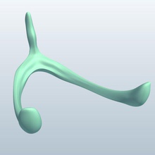 wishbone v1 l'anatomie imprimable lowpoly 3d print model - Mito3D