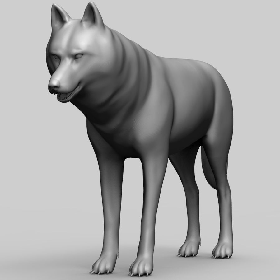 lobo da base de dados malha animais basemesh canino cg militar cão alta inferior modelo poli esculpir escultura estátua topológica selvagem zbrush 3D print model - Mito3D