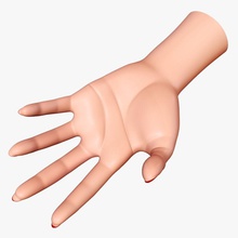 woman hand anatomy beautiful body character elf extremities fairy female finger five girl goktugg human lady limbs model nail palm people realistic sexy wrist young 3d print model - Mito3D