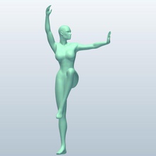 womanfighting v3 woman fighting people printable lowpoly 3d print model - Mito3D