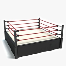 wrestling ring abramsdesign architecture arenas box fighting game match model sport square stadium structure 3d print model - Mito3D