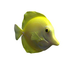 jaune tang v1 animaux imprimable lowpoly 3d print model - Mito3D