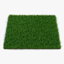 zoysia grass 3d molier 3ds cover field floor forest garden green ground international land lawn model nature outdoor plant plantation realistic road season small soil terrain vray warm 3d print model - Mito3D