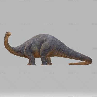 apatosaurio dinosaurio 3d modelo listo to impresión stl fbx obj 3d print model - Mito3D