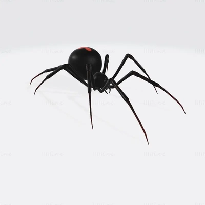 negro viuda araña 3d impresión modelo stl 3mf obj 3d print model - Mito3D