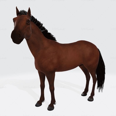 marrón caballo 3d impresión modelo stl obj fbx 3d print model - Mito3D