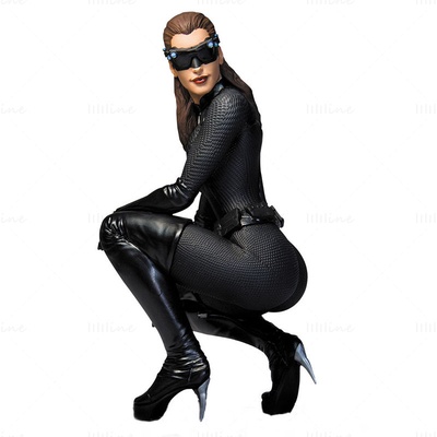 catwoman - dark knight rises 3d printing model stl crouching 3d print model - Mito3D