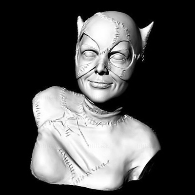 catwoman busto 3d modelo listo to impresión stl obj 3d print model - Mito3D