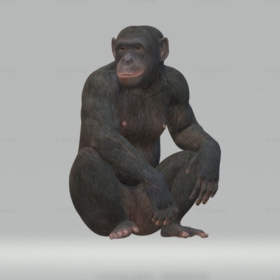 chimpancé 3d modelo listo to impresión stl fbx obj chimpance mono gorila rey kong 3d print model - Mito3D