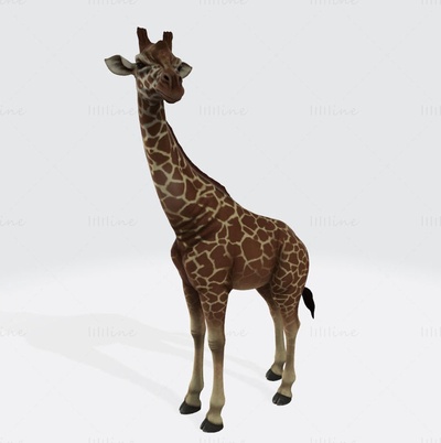 jirafa animal 3d modelo listo to impresión stl obj fbx 3d print model - Mito3D