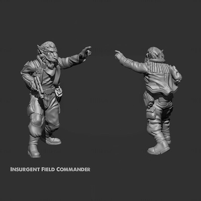 insurgent field commander 3d printing model stl 3d print model - Mito3D