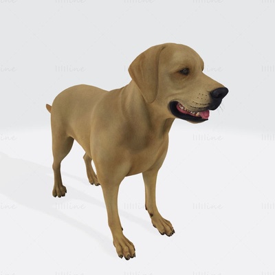 labrador av köpeği köpek 3d yazdır model 3d print model - Mito3D