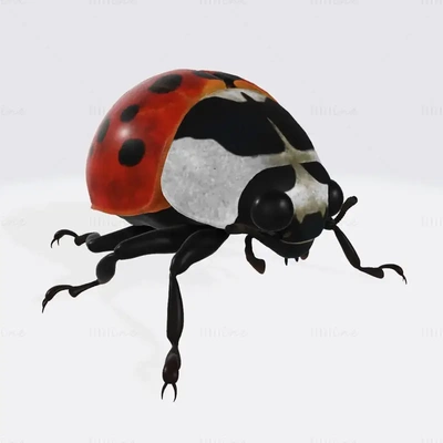 coccinelle animal 3d impression modèle 3d print model - Mito3D