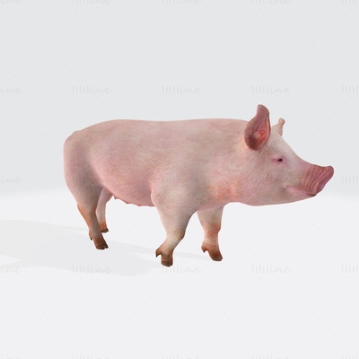 pink pig 3d printing model ready to print 3d print model - Mito3D