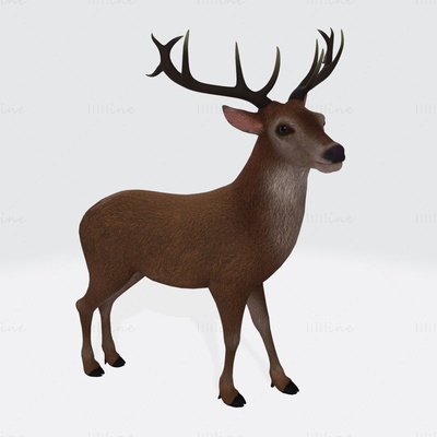 reindeer 3d printing model 3d print model - Mito3D