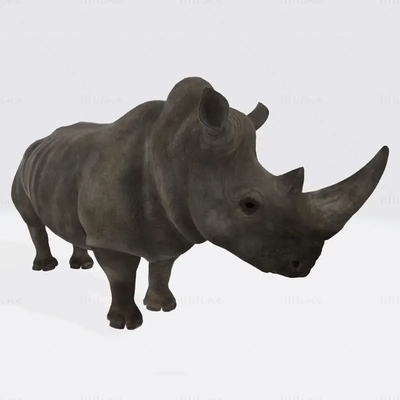 rhinocéros animal 3d impression modèle 3d print model - Mito3D