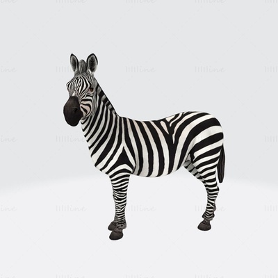 zebra 3d impressão modelo 3d print model - Mito3D