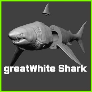 great white shark - 3d print model - Mito3D