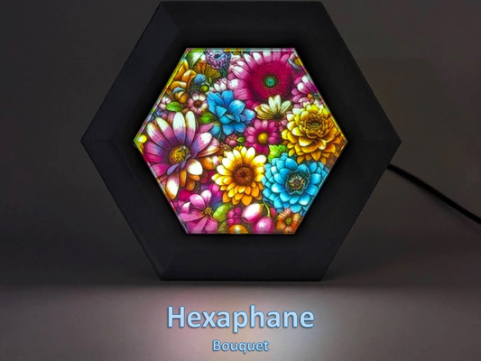 blume sammlung hexaphan anzeige system by madmax3d haushalt dekor lithophan farbe teelicht 3d print model - Mito3D