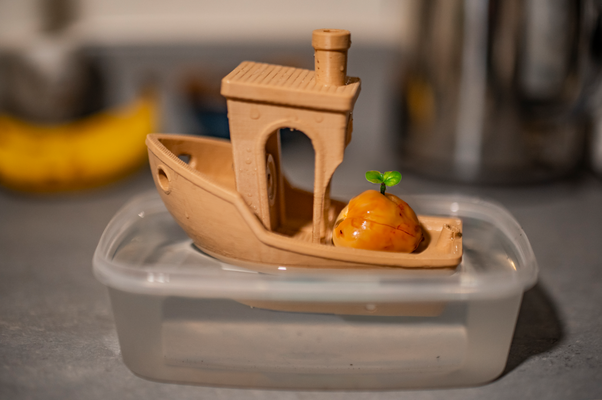 avocado grube benchy by 3dprintwell co uk haushalt garten küche samen pip pflanzer wasser wurzel benchmark schweben topf pflanze gemüse großvater 3d print model - Mito3D