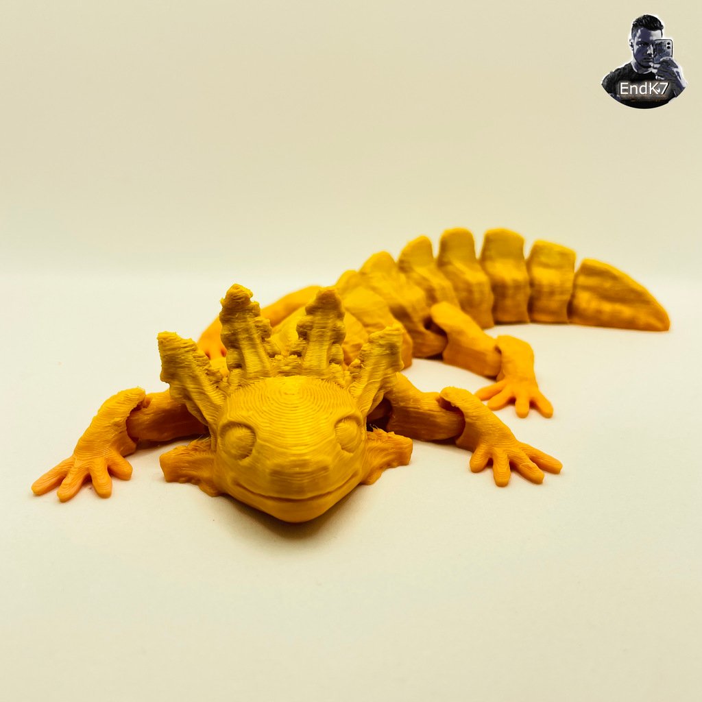 mignonne axolotl articulé no soutiens by endk7designs miniatures animaux amphibie animal articuler jouet d'art mignonanimal agiter agitation flexi souple libre support printinplace jouets 3D print model - Mito3D