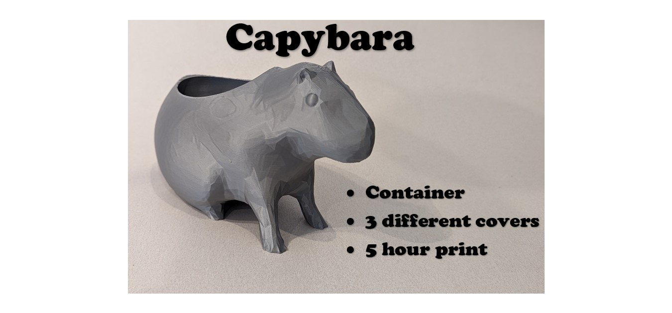 küche capybara by abonnieren haushalt haus modelle gadget veranstalter miniatur tier dekor skulptur container 3D print model - Mito3D