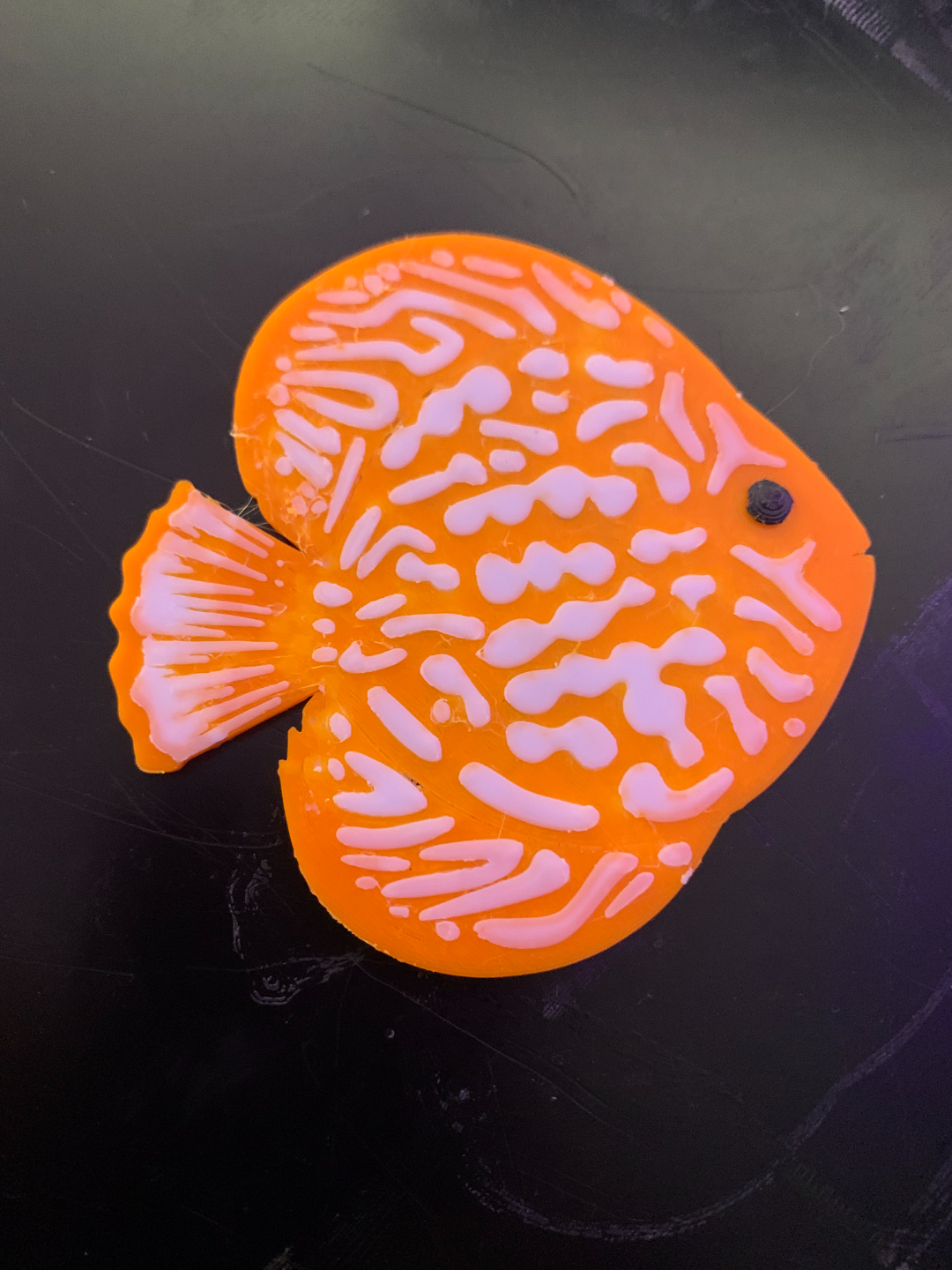 gadget pesce discus by silviopastori78 arte modelli acquario 3D print model - Mito3D