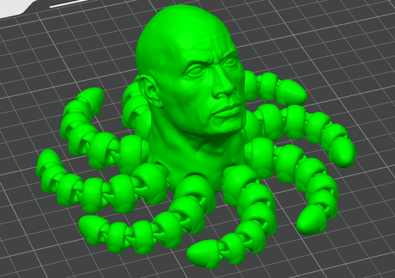 rocktopus otários by marcopiazzo95 arte modelos brinquedo polvo brinquedos rocha flexível kraken rocha dwayne johnson dwaynedontwalkjohnson dwaynejohnson therockjohnson bambu a1 a1mini p1p p1s x1 x1c 3d print model - Mito3D