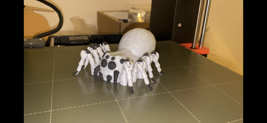 flexi spider by rott3d toys & games insect printinplace nosupp nosupports artman toy gift filament pla petg kids children tarantula animal garden scary creepy likealive 3d print model - Mito3D