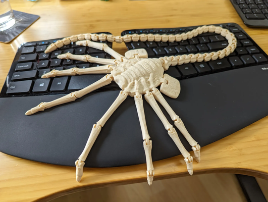 flexi facehugger long queue xénomorphe extraterrestre vs prédateur articulé souple impression in endroit remixé by maker1o1 miniatures créatures film printinplace animal 3d print model - Mito3D