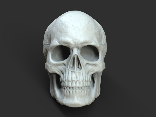 skull by ld3d lab props & cosplays 3d print model - Mito3D