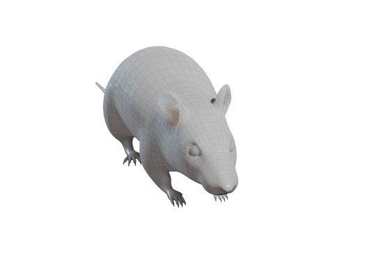 rue rat by xchgre miniatures animaux urbain souris 3d print model - Mito3D