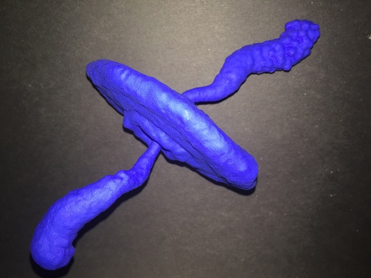 crabe nébuleuse by xchgre éducation physique astronomie étoile nasa pulsar glucides éclaté 3d print model - Mito3D