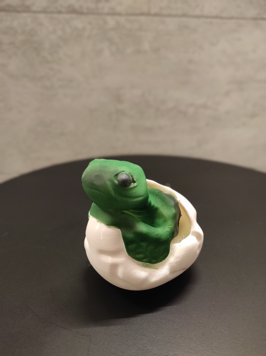 baby schildkröte by trotzig kunst modelle tier meer 3D print model - Mito3D