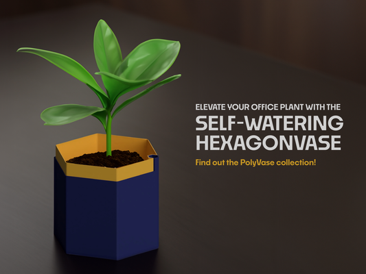 self watering vaso esagonale by gervas 3d miniature architettura pianta fiore lowpoly exagon ufficio studia irrigazione auto fioriera autoirrigante 3d print model - Mito3D