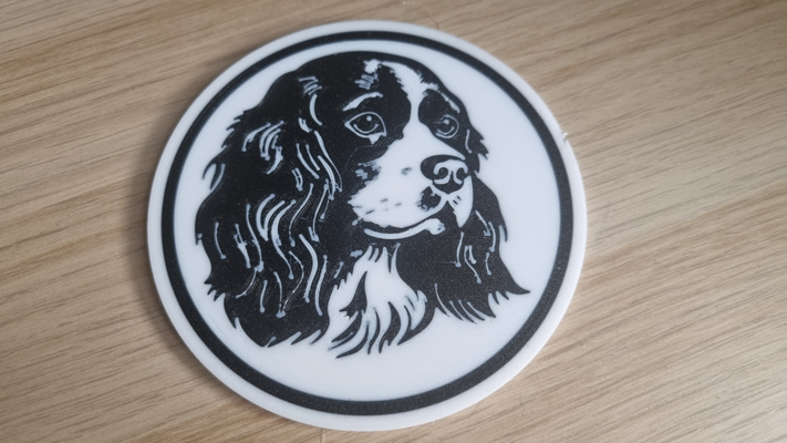 cavaliere re charles spaniel sottobicchiere by signor jay domestico arredamento cane cani sottobicchieri cavelier multicolore 3d print model - Mito3D