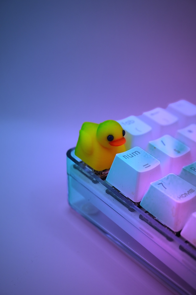 patinho artesão tecla ams by markury miniaturas animais chave pato teclado animal 3d print model - Mito3D