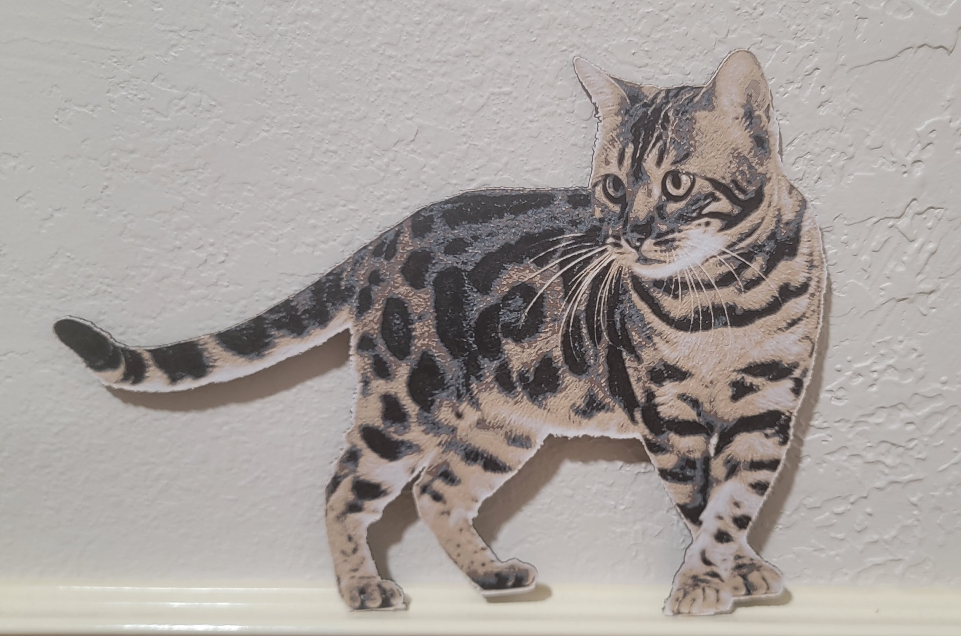 bengal hueforge wallart by cruizincris2006 art 2d cat tiger leopard print lion 3D print model - Mito3D