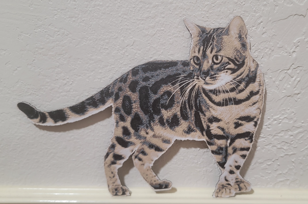 bengal hueforge wallart by cruizincris2006 art 2d cat tiger leopard print lion 3d print model - Mito3D