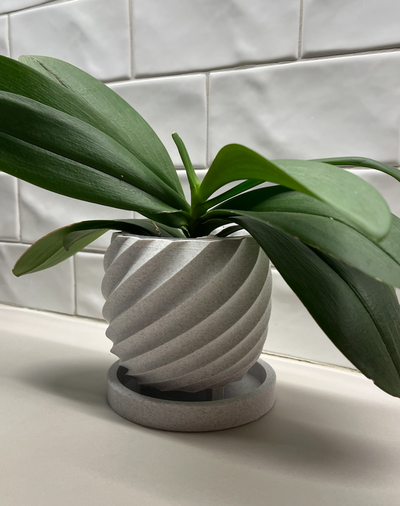 flor maceta espiral diseño by trufa casa decoración jardín plato patrón planta 3d print model - Mito3D