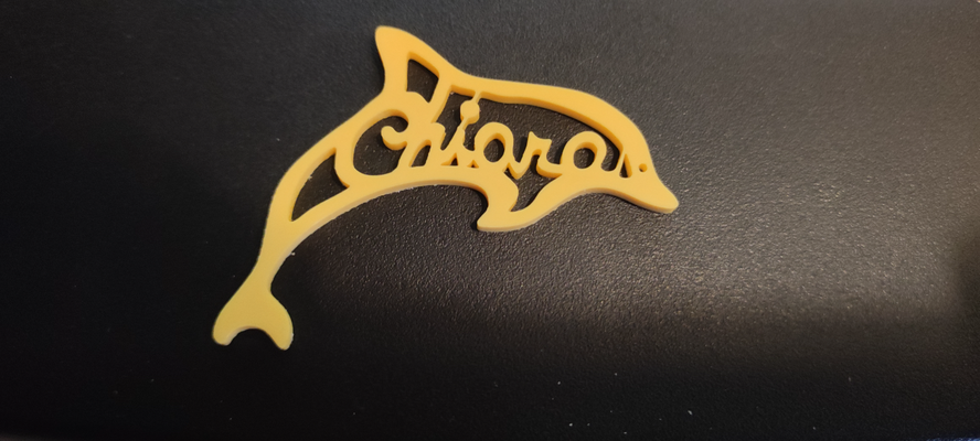 dolphin chiara by marco libe ferramentas aparelhos 3d print model - Mito3D