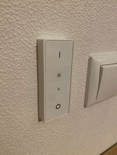 philips renk dimmer değiştirmek ince kulp destek duvar binmek vidalar no mıknatıslar by chappio ev halkı dekor duvara monte duvara vidalamak 3d print model - Mito3D