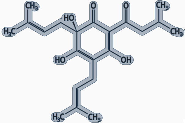 chemical formula beer by suese syb education chemistry bier geschenk gift 3d print model - Mito3D